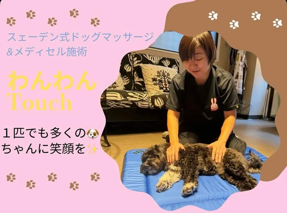 ドッグマッサージ