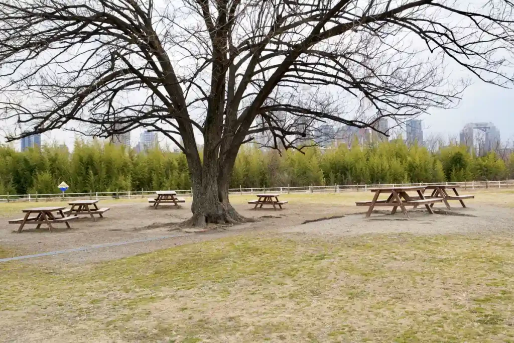 淀川区最南端　12