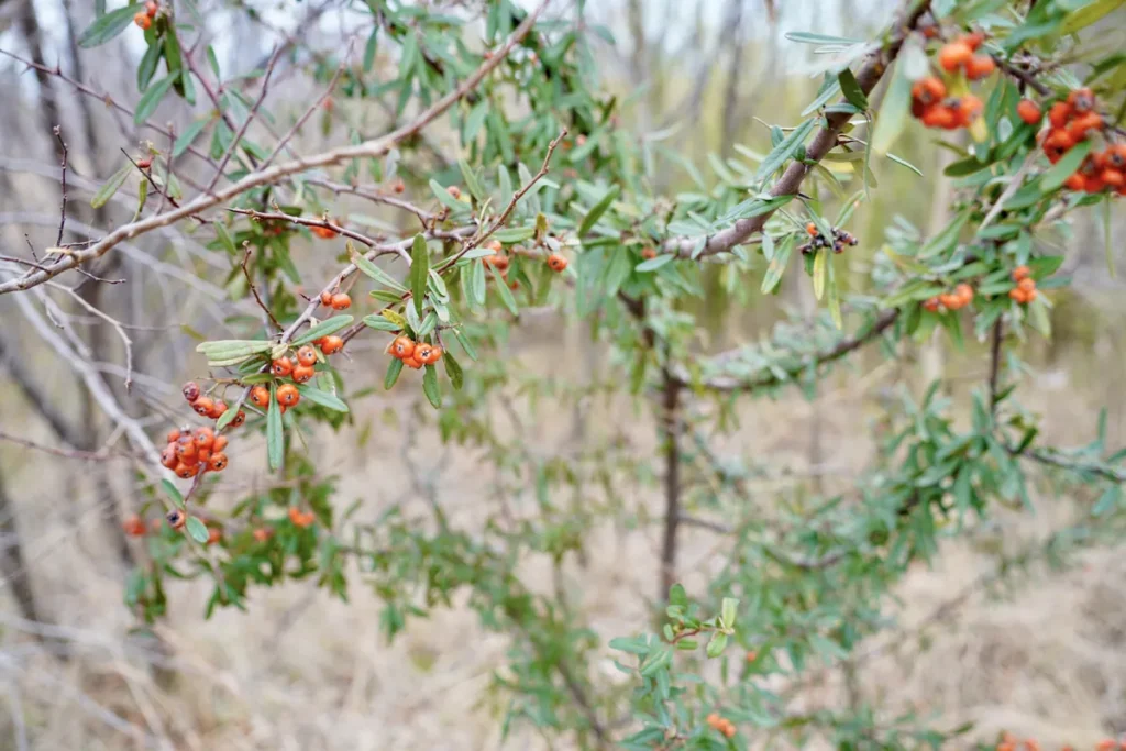 淀川区最南端　19