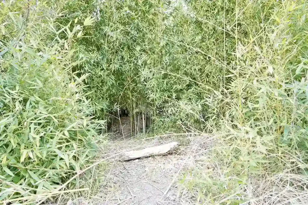 淀川区最南端　20