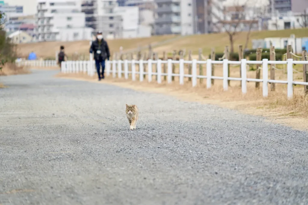 淀川区最南端　21