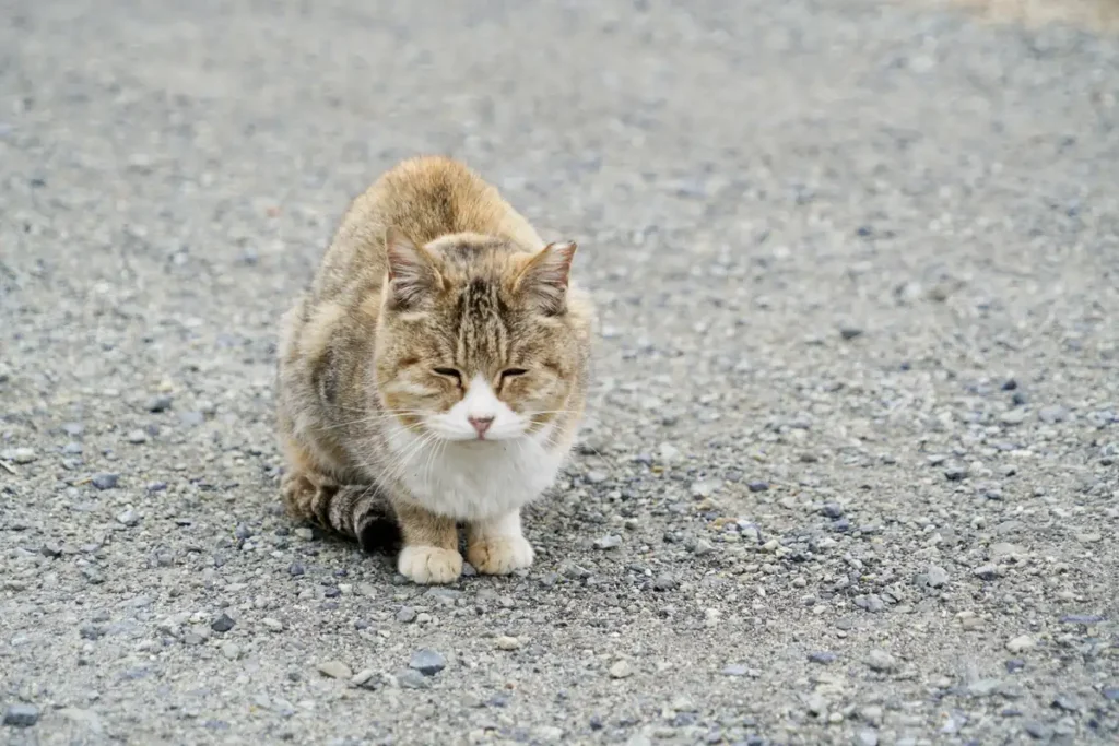 淀川区最南端　24