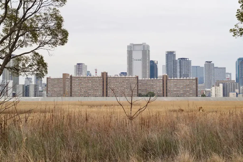 淀川河川敷　34