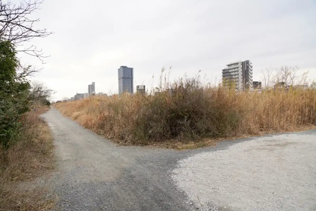 淀川河川敷　37