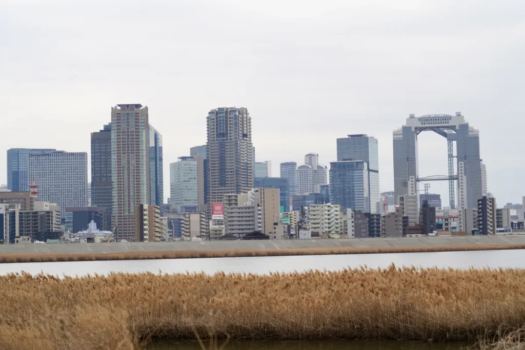 淀川河川敷　41