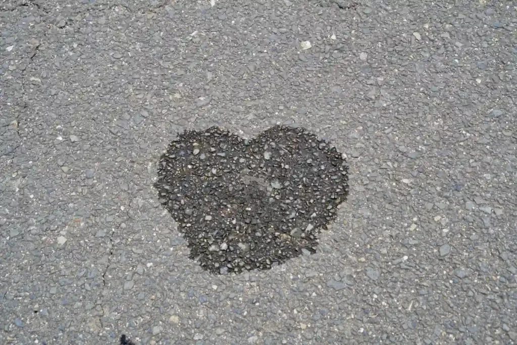 淀川河川敷　48