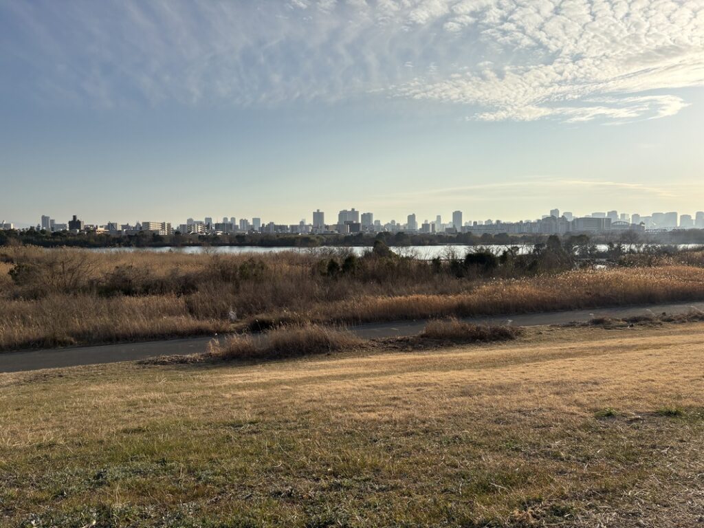 淀川水系一斉美化アクションの対岸風景