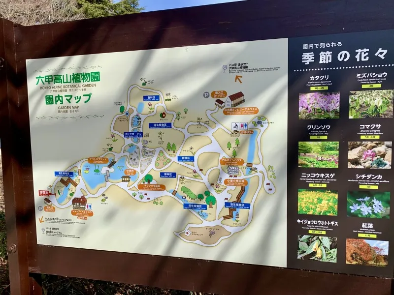 六甲高山植物園　看板