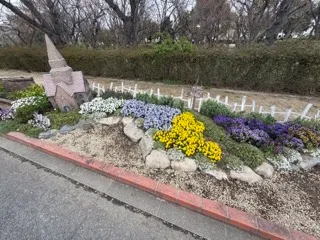 花壇の様子
