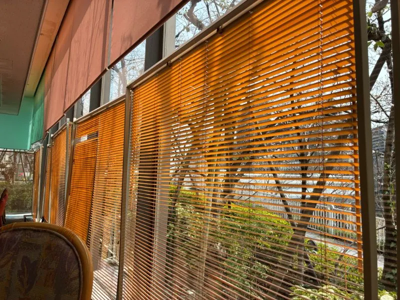 店内から見た桜