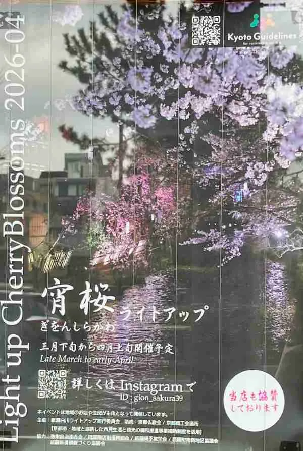 【3/27～4/5】祇園白川で「宵桜ライトアップ」が開催