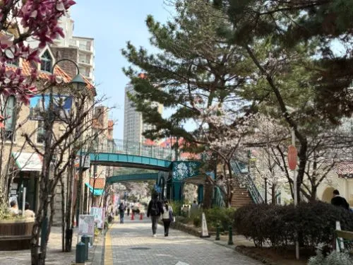 宝塚　花のみち