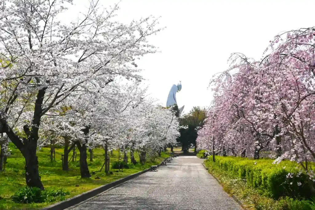 万博記念公園 「SAKURA EXPO 2026」
