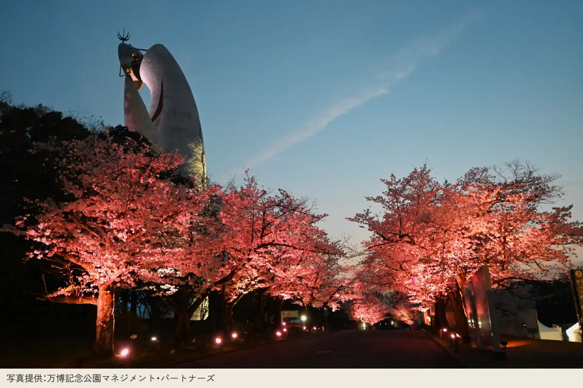 「万博記念公園」での「東大路の桜並木ライトアップ」が4/1〜8に開催決定!