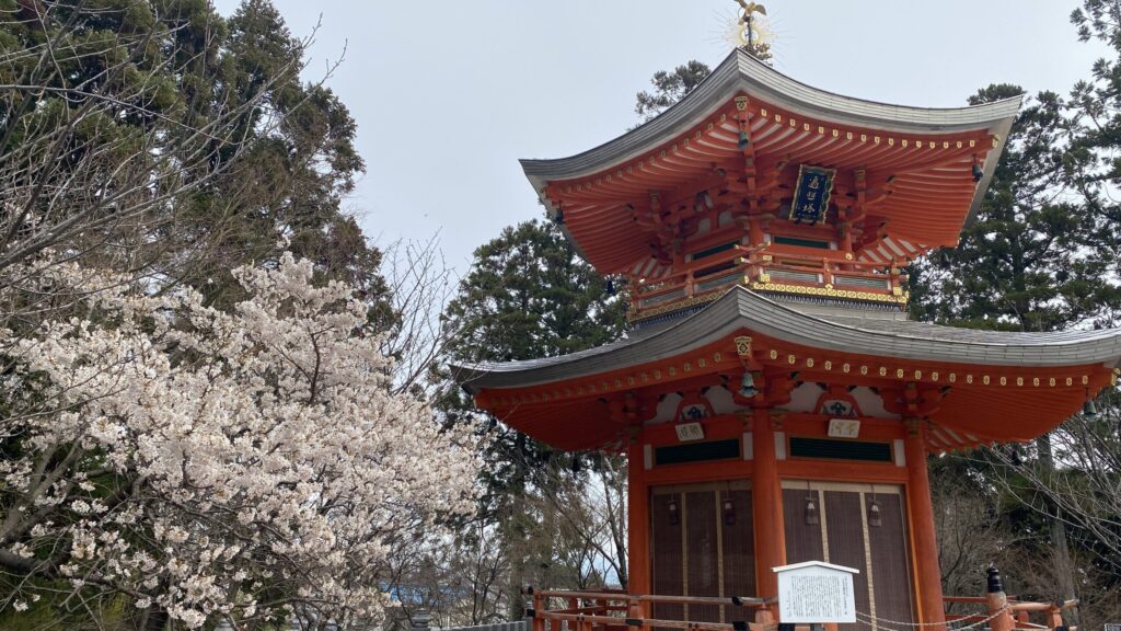 正法寺と桜