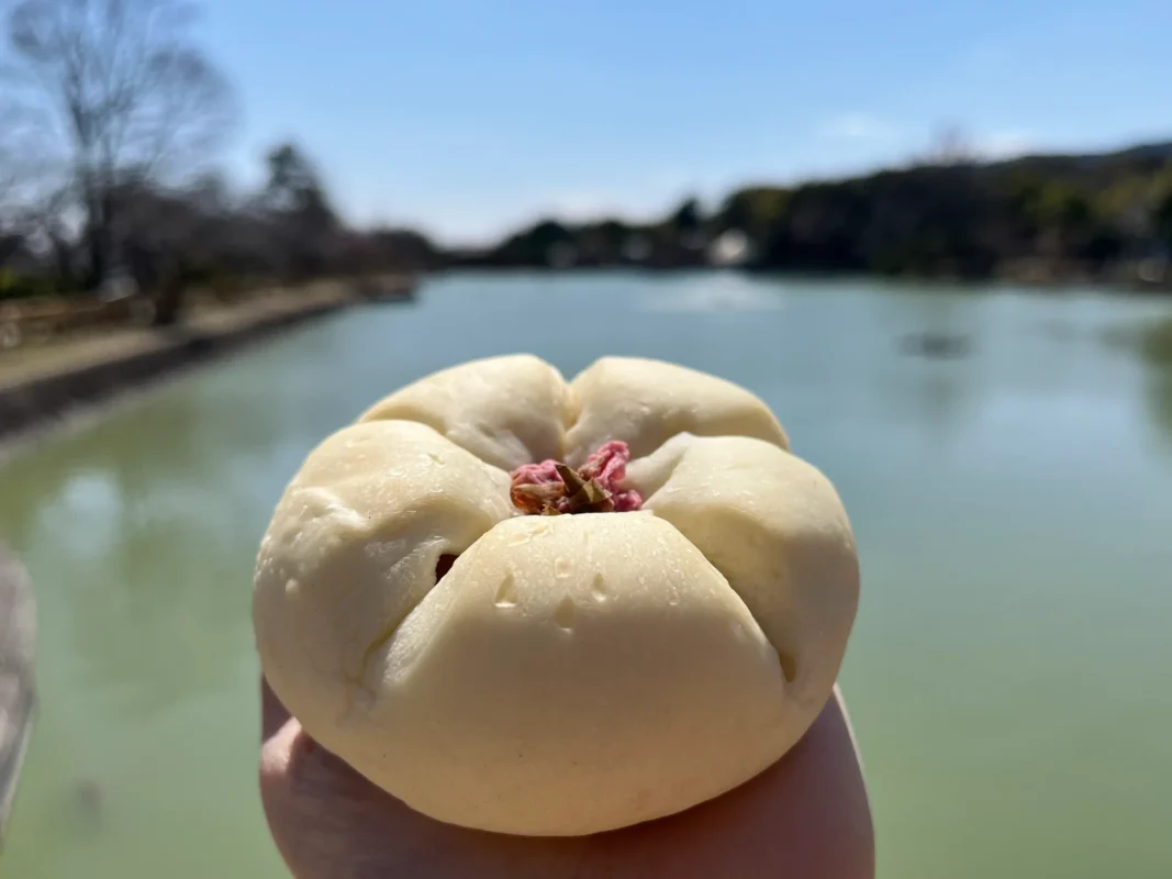 長岡京・大山崎・向日　春のパンパトロール【その1】筍、桜あんぱん～メサベルテ～