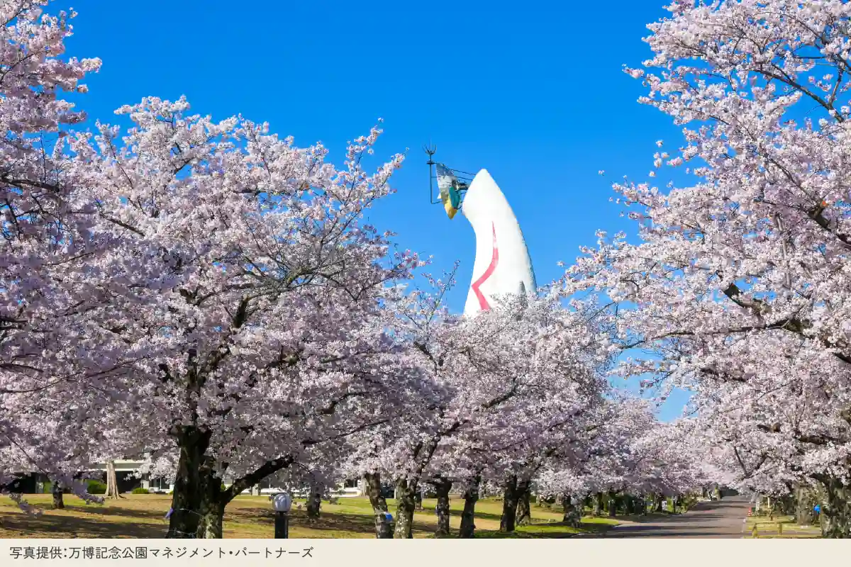 「万博記念公園」に春到来！ 4/5（日）まで「SAKURA EXPO 2026」が開催中
