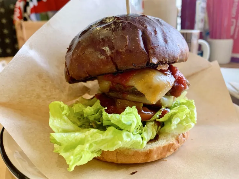 Shinsburger　コルビージャック1