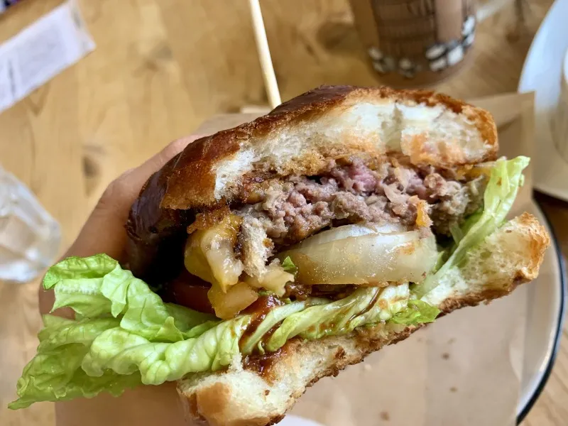 Shinsburger　コルビージャック3