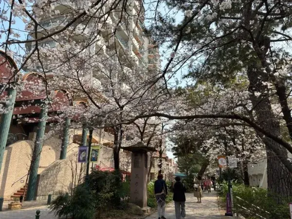 宝塚・花のみちの人気クレープ片手にお花見散策