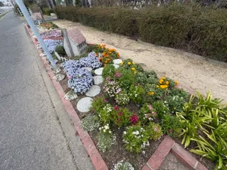 花壇の様子