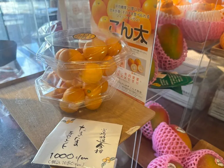 フランシアアオキ屋の柑橘の写真1