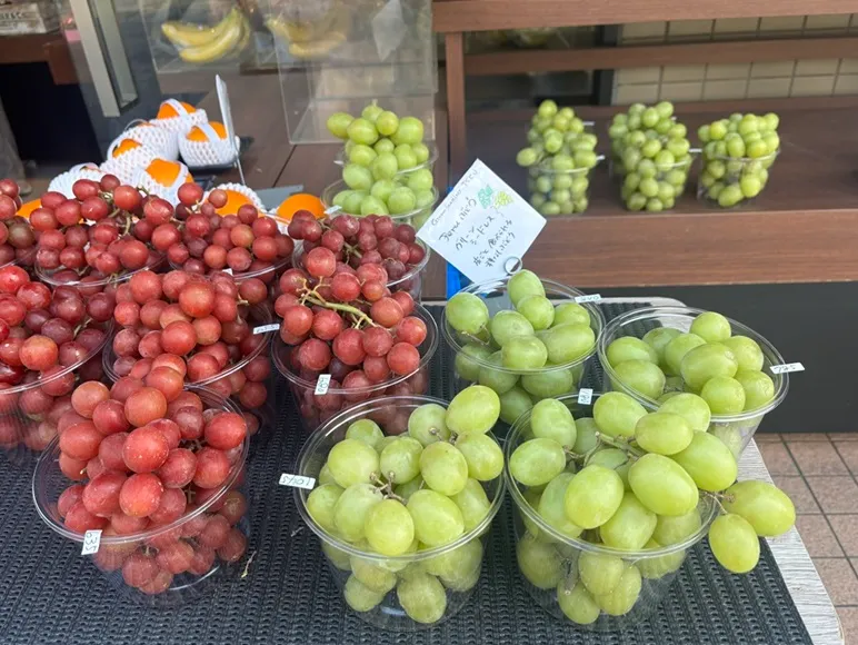 フランシアアオキ屋の店先の写真