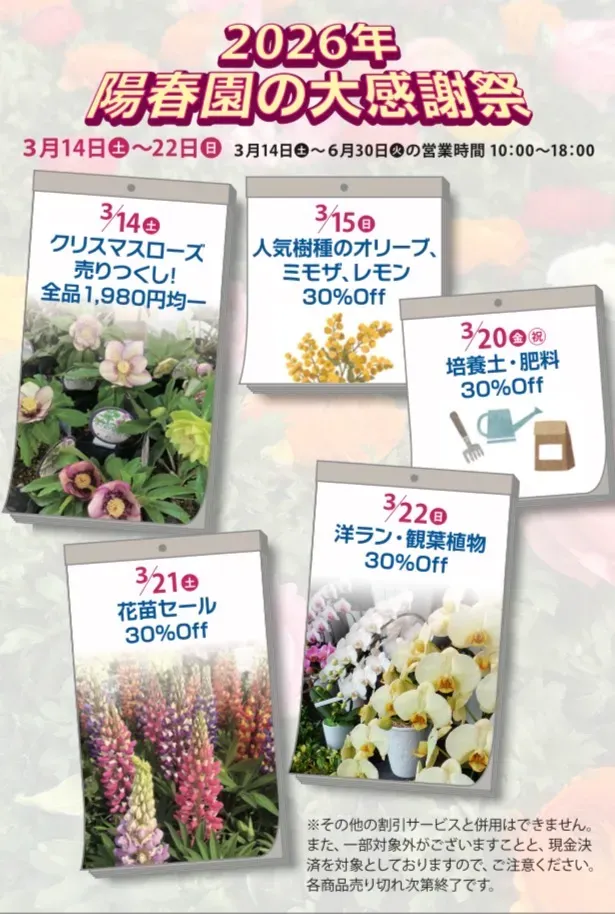 3月14日～22日　宝塚・山本の人気園芸店「陽春園」の大感謝祭　バラもクリスマスローズもお買い得！
