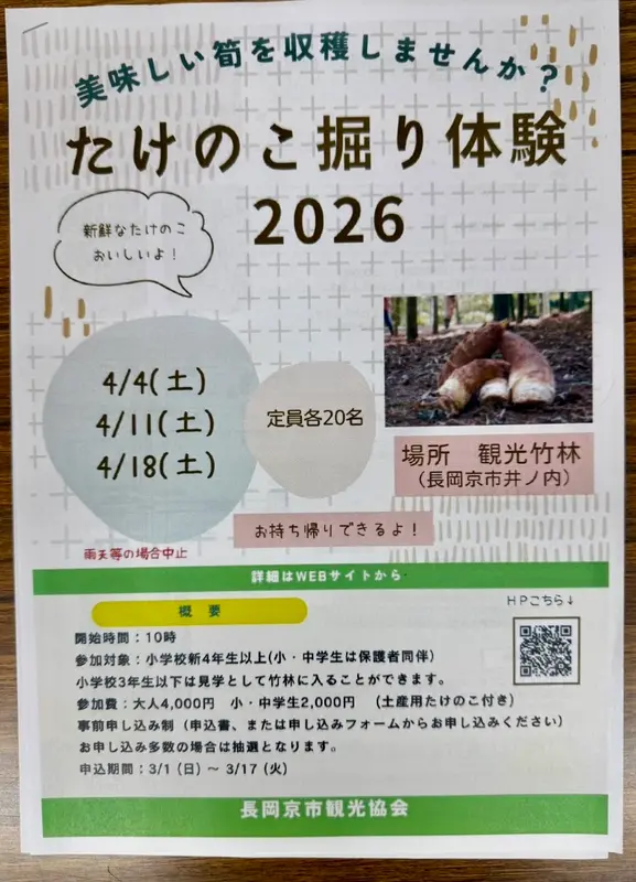 長岡京市｜自分で掘って持ち帰れる春の味覚を体験！たけのこ掘り体験2026