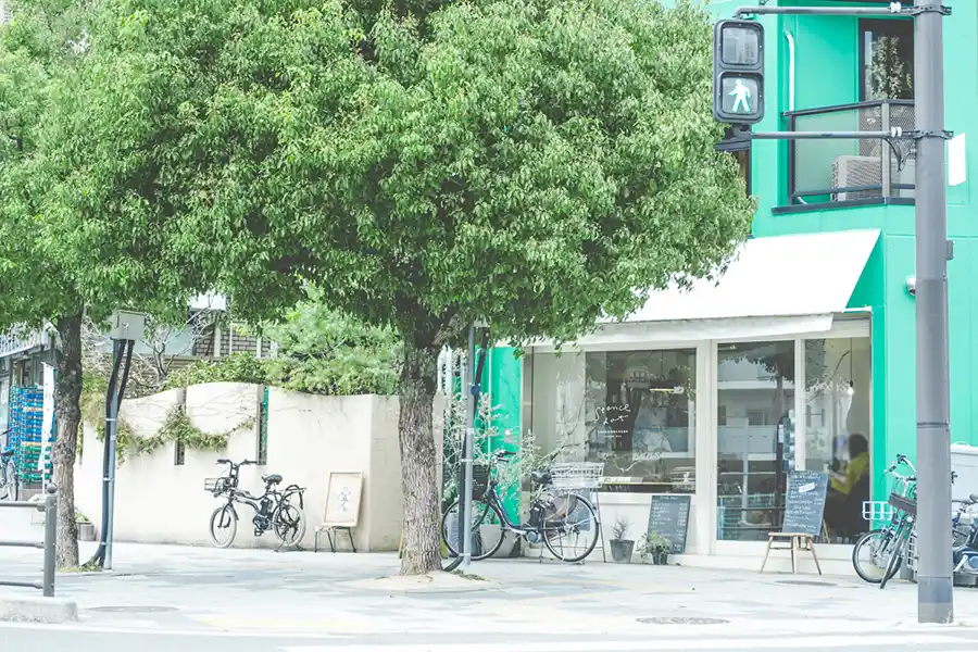 スタンスドット　くすのき