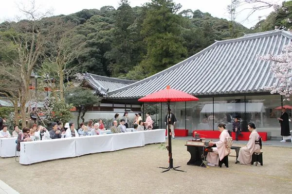 4月5日は桜日和。宝塚・清荒神の境内で桜を愛でながら風雅な茶会を