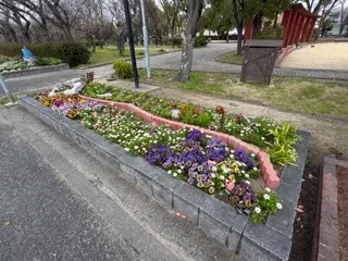 花壇の様子
