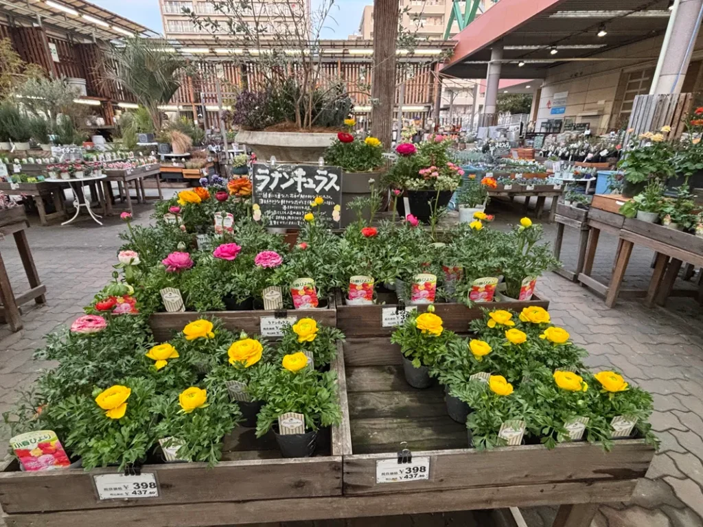 フラワーショップ園舎の店内写真4