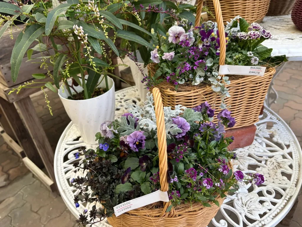 フラワーショップ園舎の寄せ植え鉢の写真