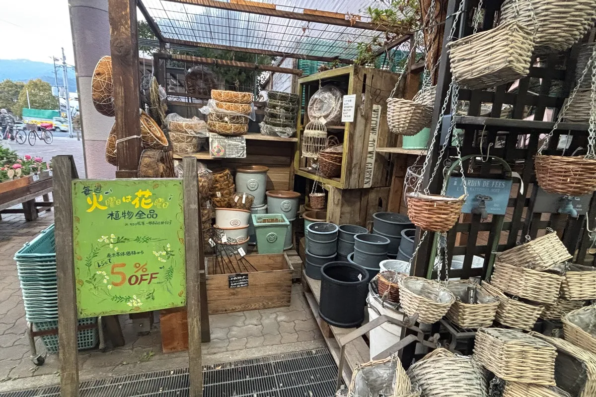 「フラワーショップ園舎 神戸店」、毎週火曜は花曜日♪で5％OFF！