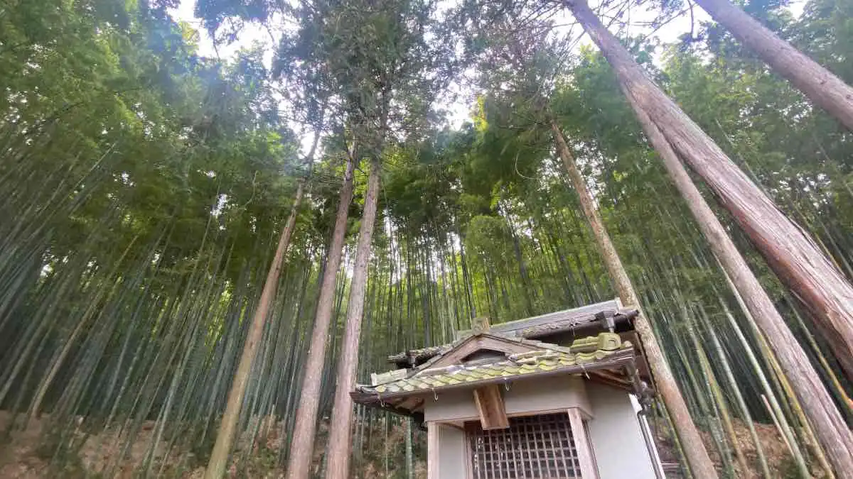 京都・樫原の穴場スポット“福成寺”で静寂の癒し時間♪