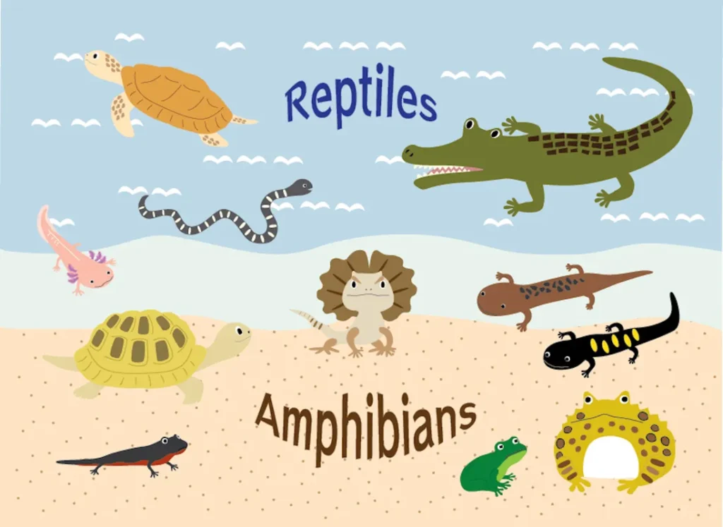 爬虫類ふれあい体験　伊イメージ画像