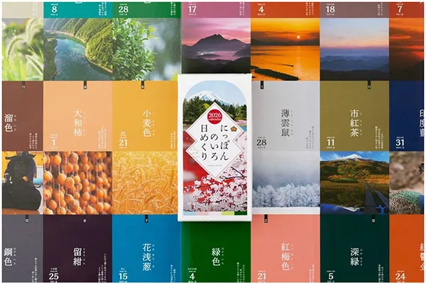 花びより　インスタレーションイメージ