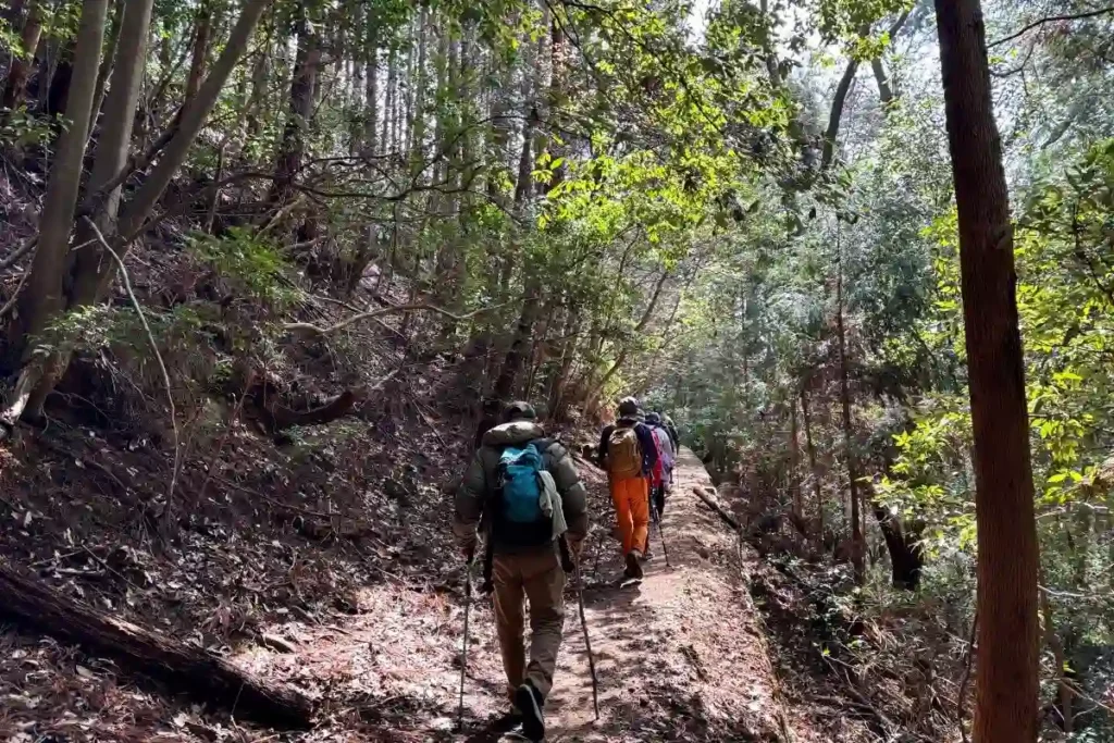 箕面 ハイキング風景