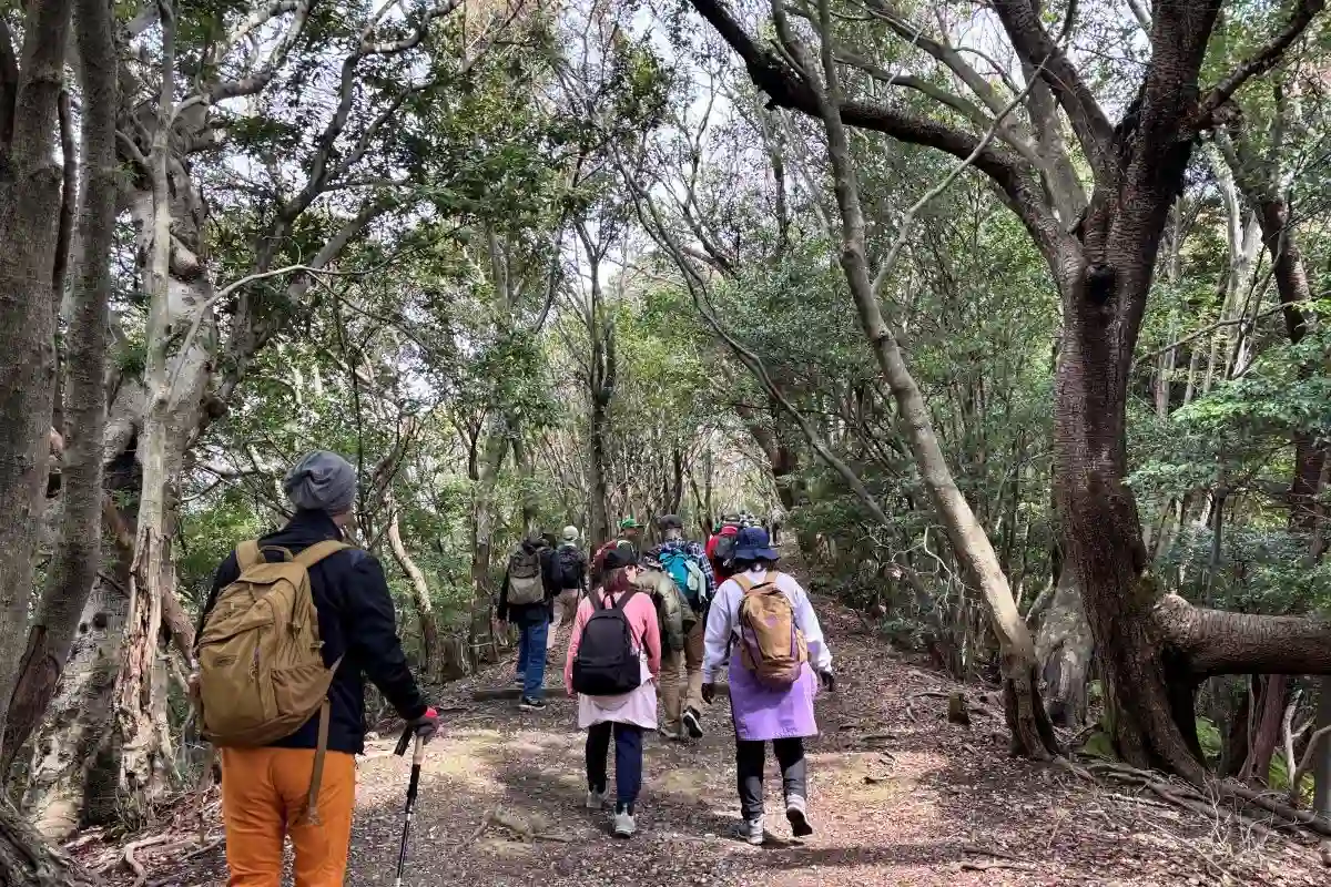 箕面駅スタート｜4/5（日）お花見ハイキングイベント｜参加無料・予約不要