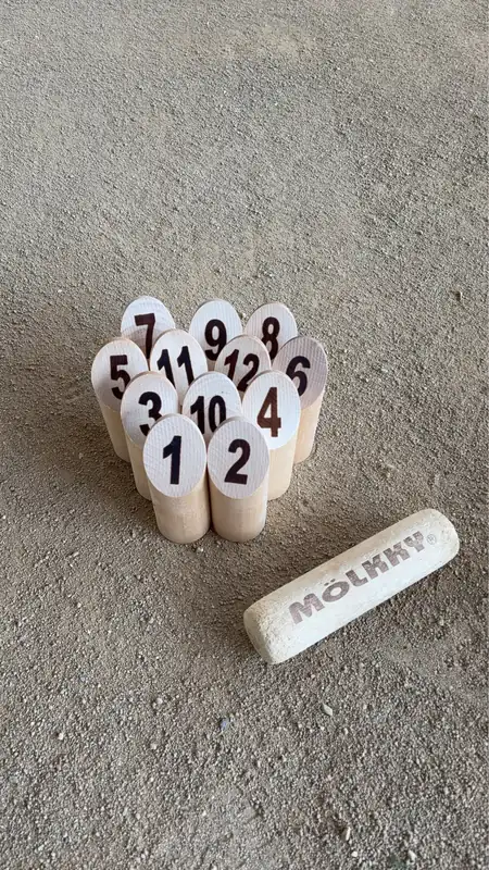 実はモルックの聖地が川西に!? 川西で活動する「川西モルックの会」を直撃