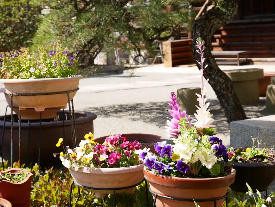 川西市の勝福寺で『はなまつり』開催/マルシェやワークショップも！4月5日