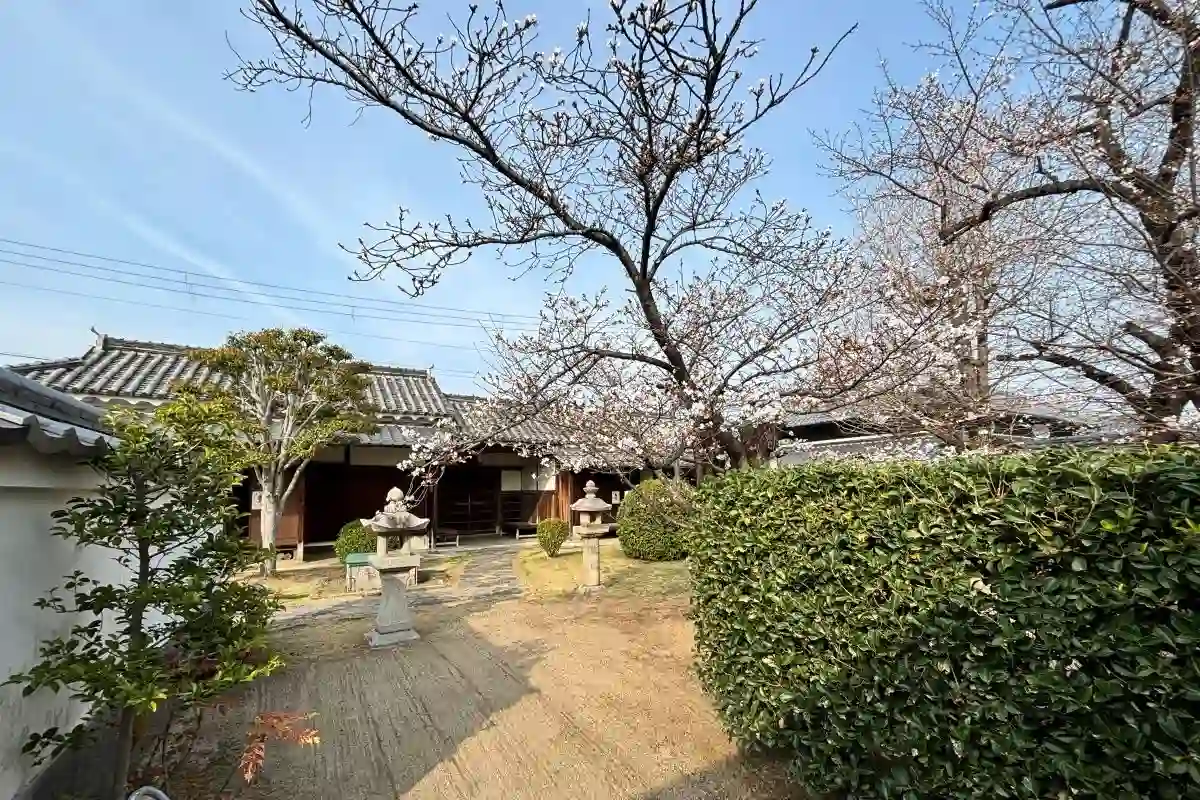 箕面かやの｜心静かに桜を愛でる、赤穂藩士「萱野三平記念館」を見学