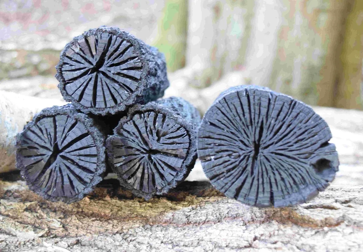 箕面とどろみ｜地元の児童が特産品「菊炭づくり」を体験。年間を通して里山文化を発信