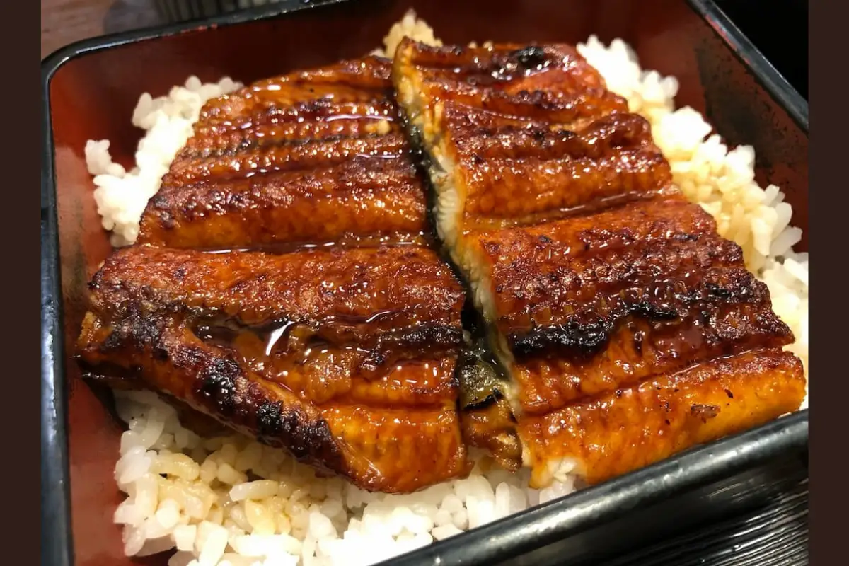 イオンモール京都桂川の全国唯一の和食店「杬之蔵」のうな重