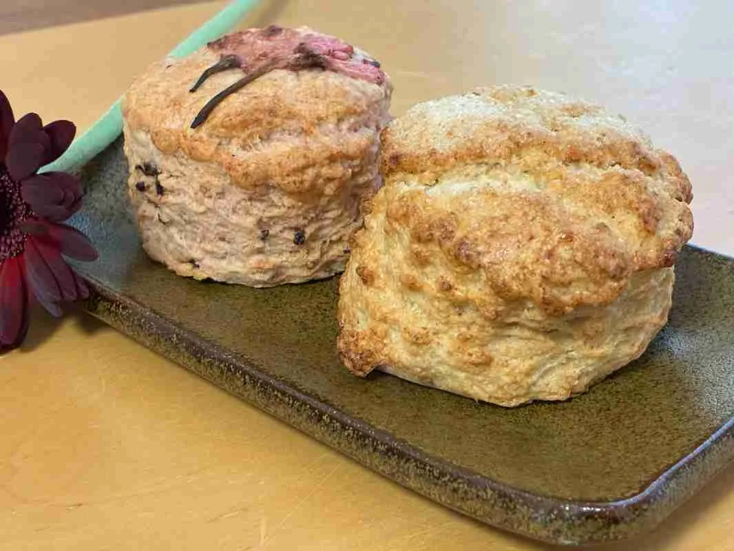 【新店】高槻に誕生スコーン専門店｜国産小麦粉と素焚糖で作る優しい味です