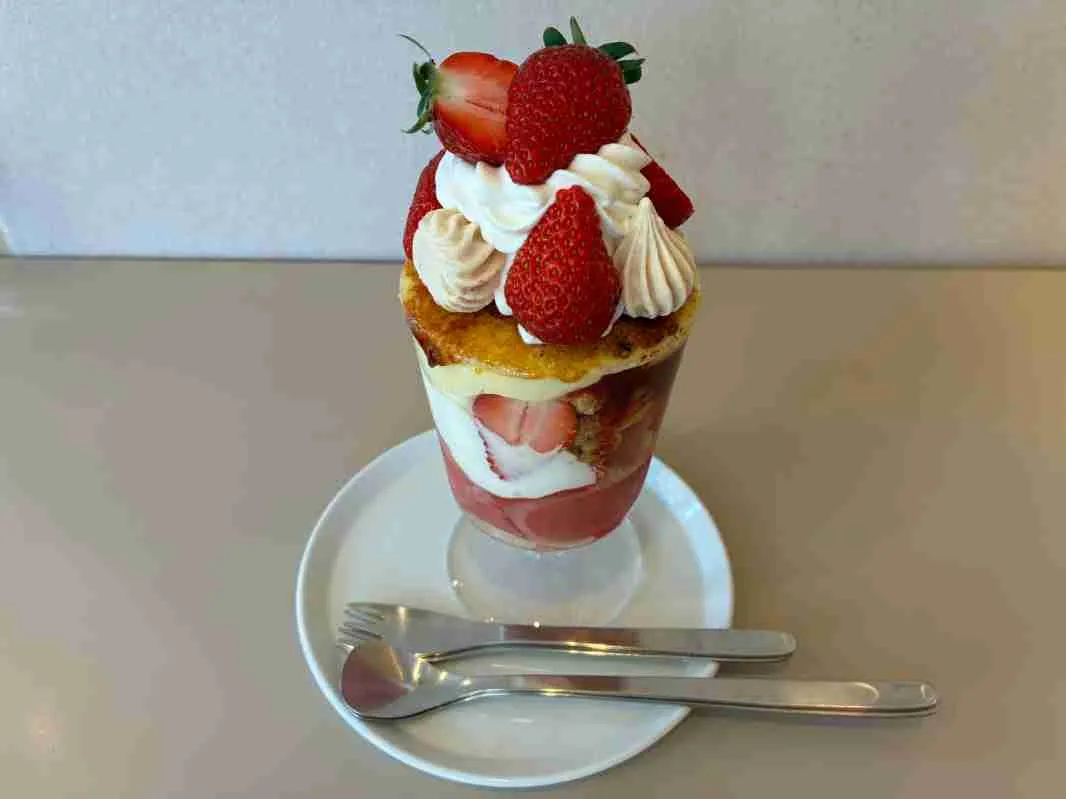 高槻駅近くの人気店「mikaku」季節のかき氷とパフェ｜今はイチゴが美味しい季節です