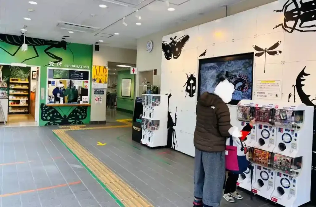 箕面公園昆虫館先っちょ展