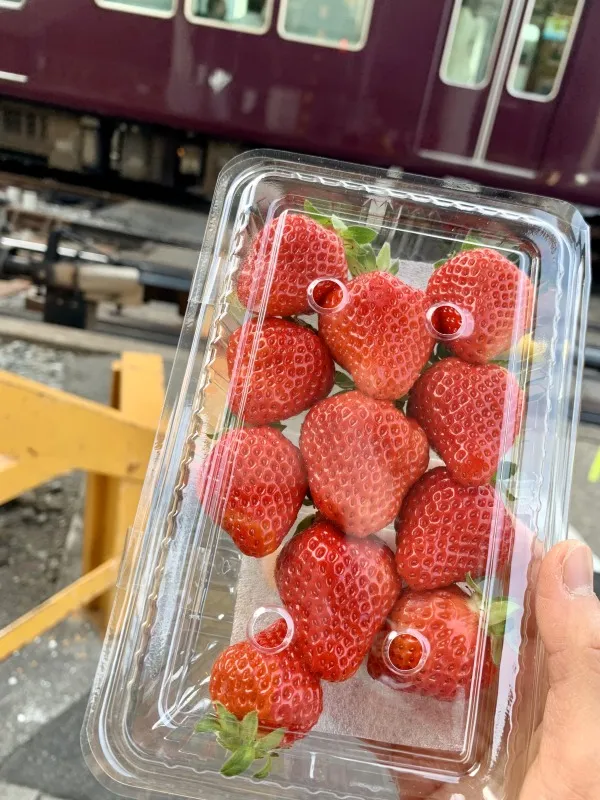 ナダシンの餅　持ち帰り