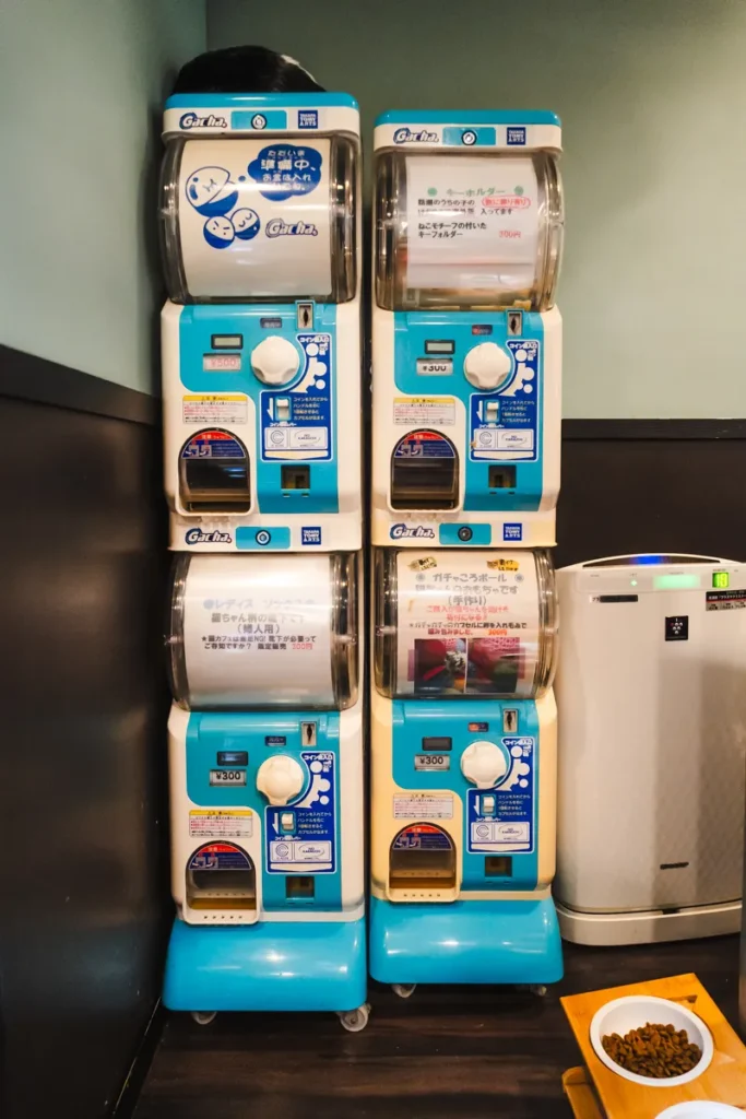 calm　ガチャガチャ